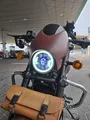 Harley Davidson Street Rod 750